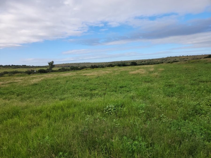 Commercial Property for Sale in Somerset East Rural Eastern Cape